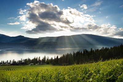 11. Fall Okanagan Wine Festival