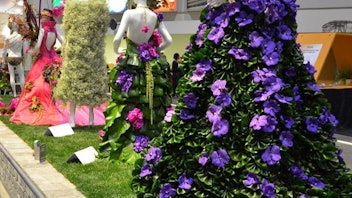 4. National Home Show and Canada Blooms