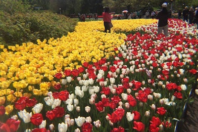 9. Canadian Tulip Festival