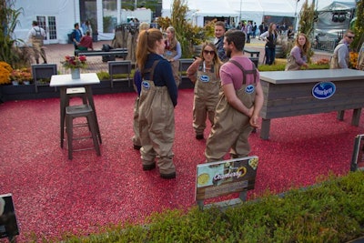 Ocean Spray cranberry bog