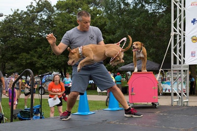 10. Pets Are Worth Saving Walk or Run for Their Lives