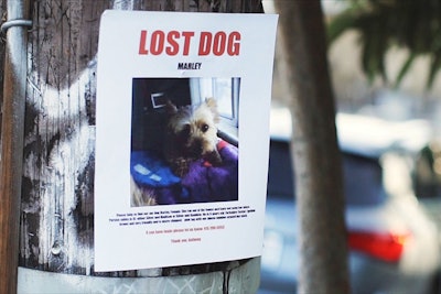 Outside the walls of the pop-up space, Pen&Public also created public interactions such as a digital billboard where owners’ small lost cat and dog posters were amplified.