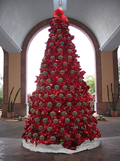 The Westin La Paloma's Christmas Cacti