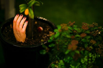 A hand sprung from a potted arrangement.