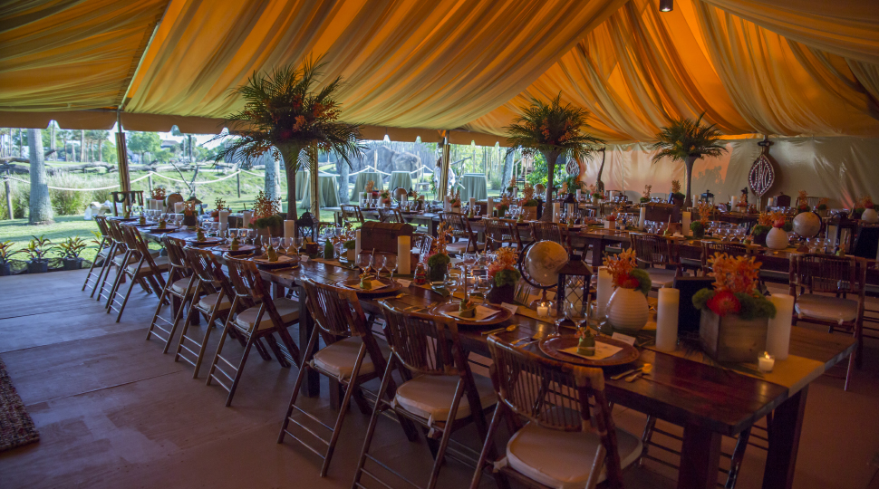 Busch Gardens Tampa Bay Bizbash