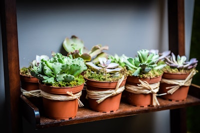 At an in-office party for 360 Live Media in Washington in 2014, guests each received a potted succulent from local florist Multiflor as a take-home gift.