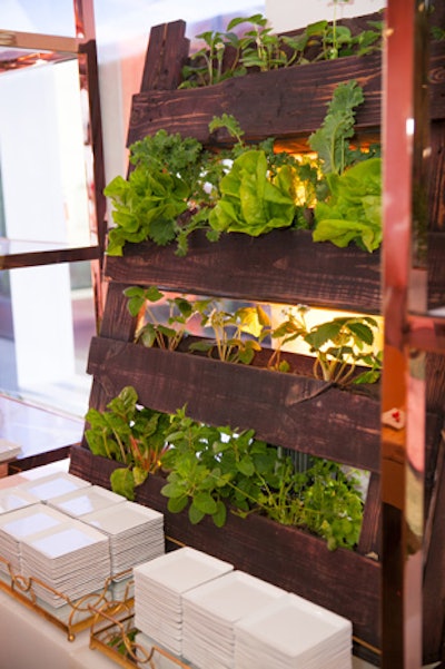A living wall with tomatoes on the vine, rooted lettuce, and fresh garden herbs provided a background to a catering station by Wolfgang Puck Caterers.