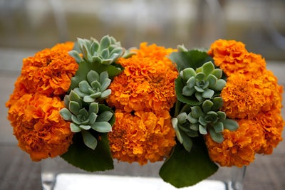 At the Veuve Clicquot Polo Classic in Los Angeles in 2014, Mille Fiori Design mixed succulents with marigolds in the brand's signature color for high-contrast arrangements that popped.