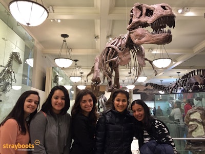 Our unique American Museum of Natural History scavenger hunt will amaze all ages.