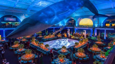 Milstein Hall of Ocean Life seated dinner & dancing