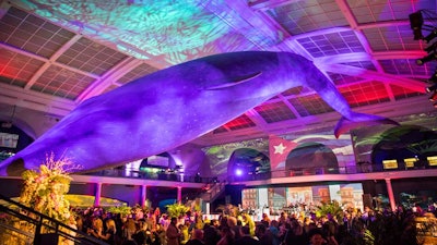 Milstein Hall of Ocean Life reception