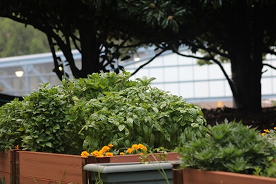 Cobb Galleria Centre's garden.