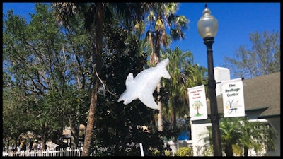 Five Foot Shark Cloud