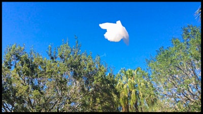 Thumbs Up Cloud at Festival