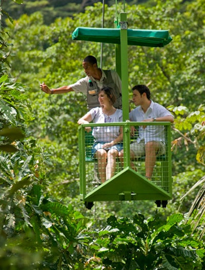 Travel Through the Rainforest in Panama