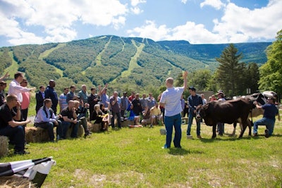 Milk Cows In Vermont