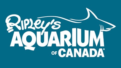 Invite your guests on a thrilling underwater adventure