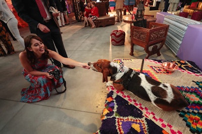 Social media star Dean the Basset was on site for photo ops.