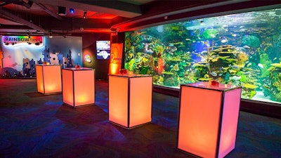 Escape to a tropical oasis at our Rainbow Reef gallery