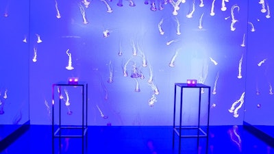 Transport yourself to Planet Jellies