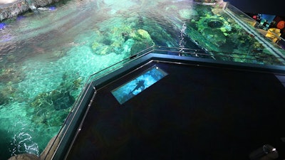 Explore the waters of the world with our Dangerous Lagoon Overlook reception space