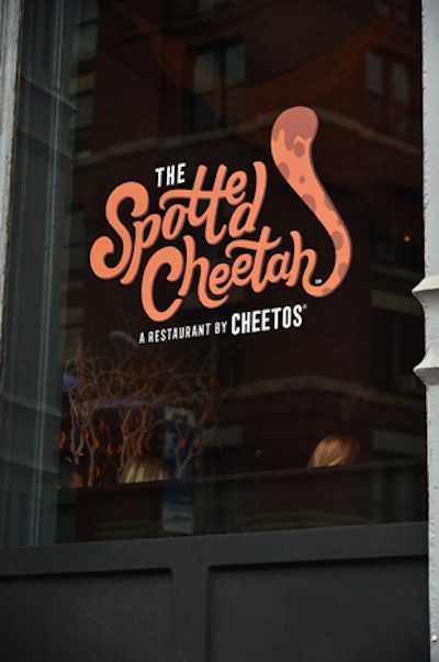 The Spotted Cheetah