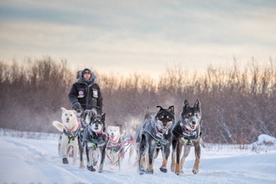 9. Yukon Quest