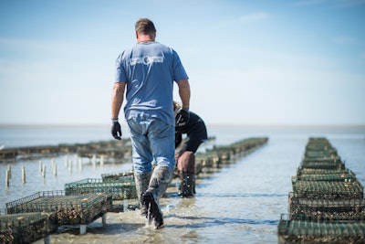 Oyster Farming Lesson