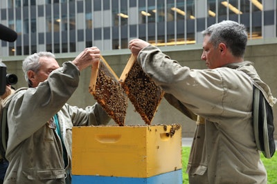 Beekeeping Lesson