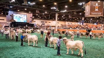 5. Houston Livestock Show and Rodeo