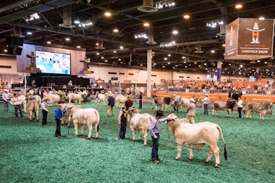 5. Houston Livestock Show and Rodeo