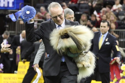 9. Westminster Kennel Club Dog Show