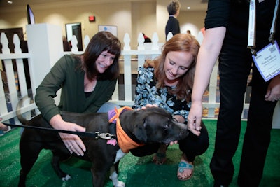 On Smart Monday, Visit Norfolk worked with Michael’s Angel Paws to provide therapy dogs, giving attendees the chance to relax and de-stress between sessions.