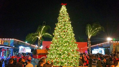 Budweiser Xmas Tree