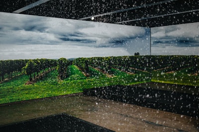 The first room in the tour had wall-to-wall graphics of vineyards, plus simulated rainfall to depict the unpredictable weather that winemakers often face. 'The Wine Making Room required the team balance the speed of rainfall within the room, paired with a lighting plan to replicate the change in seasons,' said Pham.