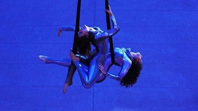 Duo Aerialists