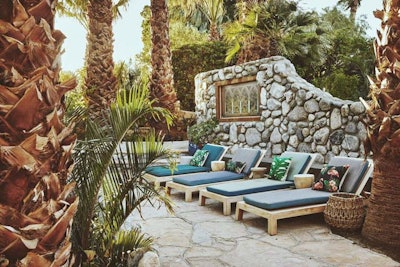 Two Bunch Palms