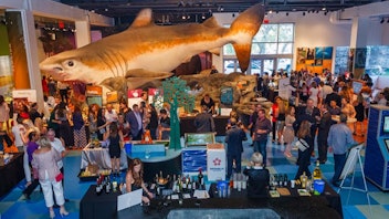 12. Museum of Discovery and Science’s Wine, Spirits & Culinary Celebration