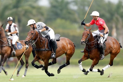 6. U.S. Open Polo Championship