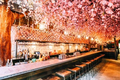 Cherry Blossom Pop-Up Bar