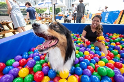 The ball pit was a popular activity for both the pups and their humans. Brand ambassadors used the Samsung Galaxy S9 to capture playful moments.