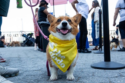 Each guest left the event with a branded doggy neck scarf, hero cape, and poop bag dispenser.