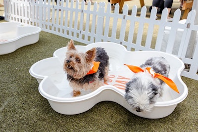 Paw- and bone-shaped pools were available for dogs to cool down in. Brand ambassadors used the S9’s slo-mo feature to capture splash moments.