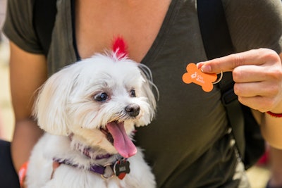 Guests received a bone-shaped, Dodo-branded, custom-engraved dog tag as a souvenir.