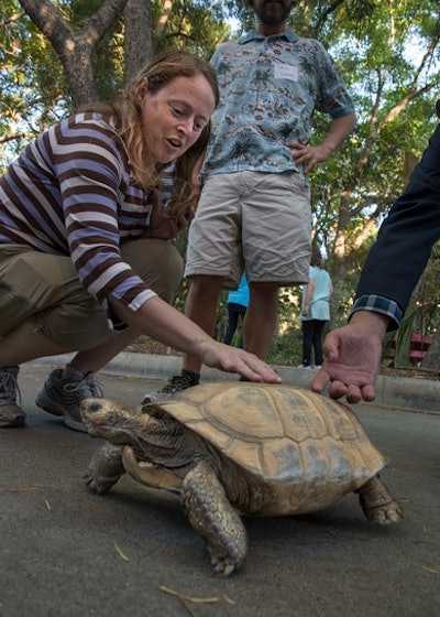 Adding an animal experience is fun for all ages!