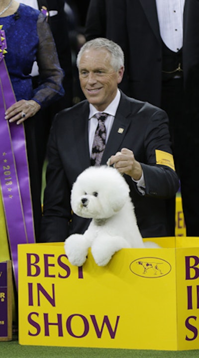 9. Westminster Kennel Club Dog Show