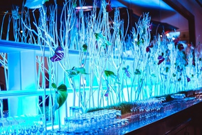 Bar Back Gala Decoration