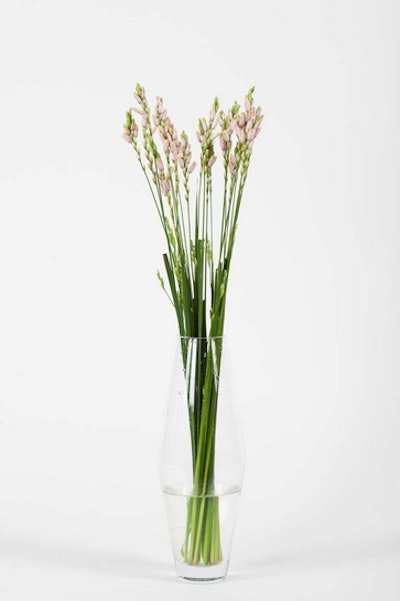 Ixia in a tall vase for a classic look