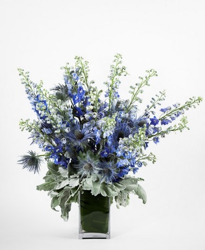 Hybrid delphinium and thistle on a bed of dusty miller