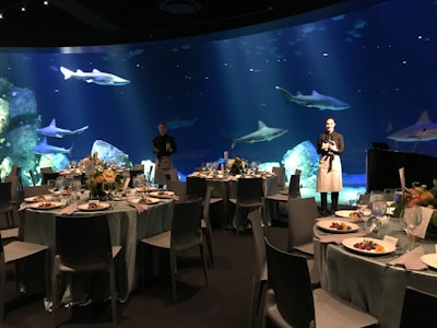 Dinner with sharks.